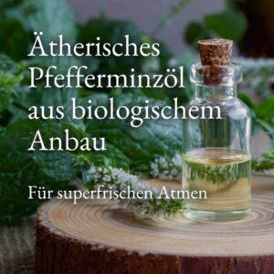 NATCH – Smile High Geschenkset – ZAHNPASTA IN MINI-REISEGRÖSSE + ZAHNBÜRSTE